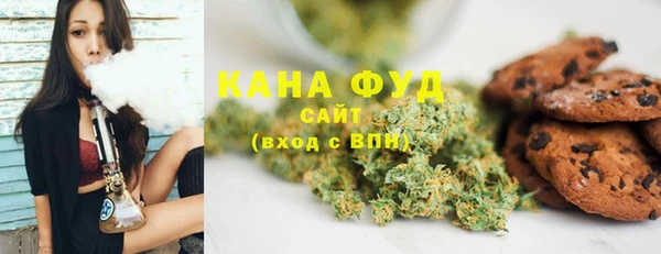 PSILOCYBIN Вяземский