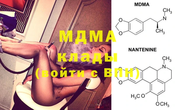 PSILOCYBIN Вяземский