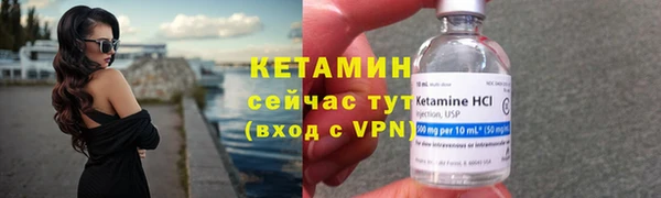 PSILOCYBIN Вяземский