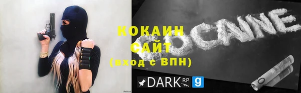 PSILOCYBIN Вяземский