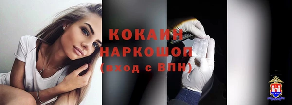 PSILOCYBIN Вяземский