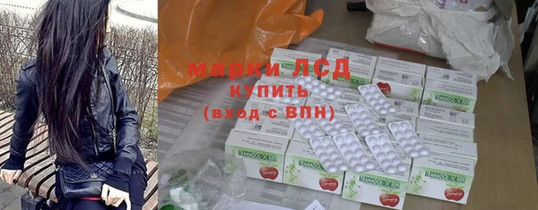 PSILOCYBIN Вяземский