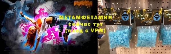 PSILOCYBIN Вяземский
