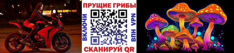 Купить где  Мирный  Галлюциногенные грибы Cubensis 